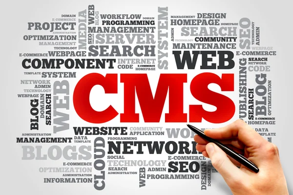 Content Management System (CMS) Image 2
